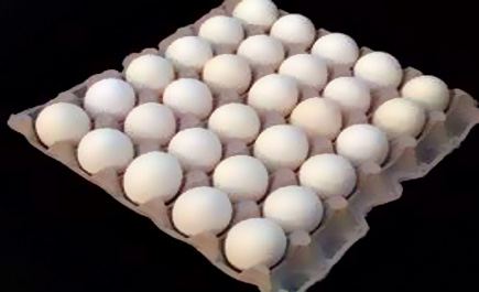 حملات «إلكترونية» لمقاطعة شراء البيض 