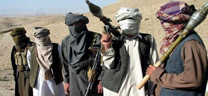 وزير الداخلية الباكستاني يؤكد عزم الحكومة على عقد محادثات جادة مع حركة طالبان 