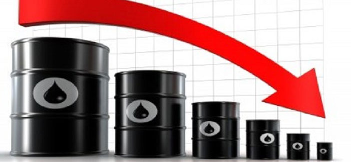 انخفاض أسعار النفط يحتم تنويع مصادر الدخل 