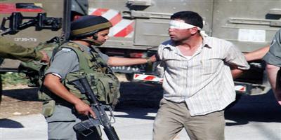 الضفة: الاحتلال يعتقل 15 شاباً فلسطينياً بينهم صحفي ويقتلع 300 شجرة زيتون 