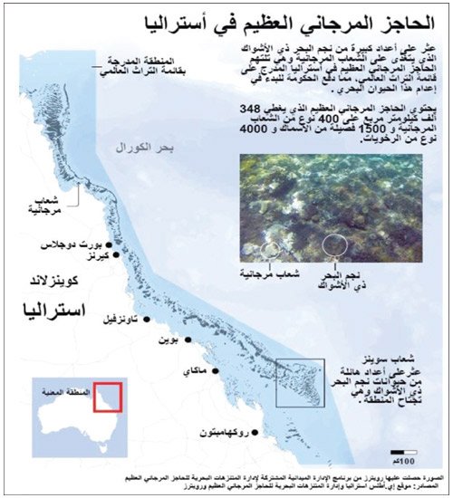 نجم البحر يلتهم الحاجز المرجاني العظيم في أستراليا 