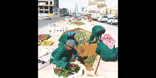  عمال البلدية أثناء زراعة الزهور