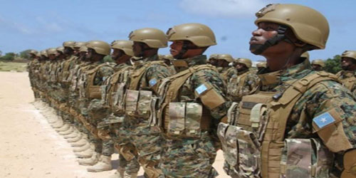 الجيش الصومالي يدمر حواجز لميليشيات الشباب الإرهابية 