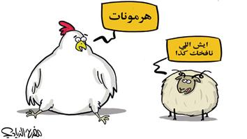 al-jazirah cartoon