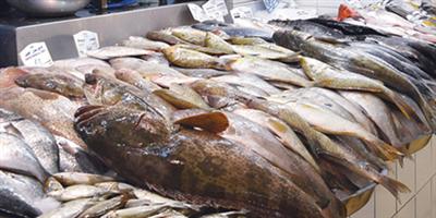 رمضان ينعش سوق الأسماك بالشرقية 