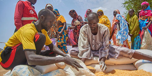 «الفاو» تكثف استجابتها لمعالجة انعدام الأمن الغذائي في السودان 
