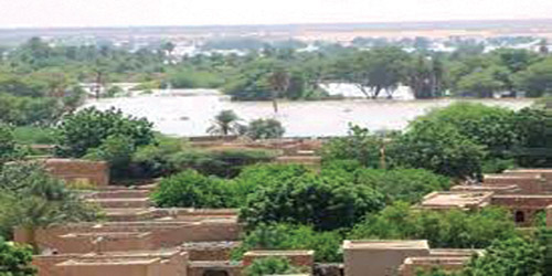 ارتفاع ضحايا الفيضانات في السودان إلى أكثر من 50 شخصاً 