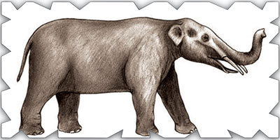 العثور على رفات أفيال عمرها (5) ملايين عام 