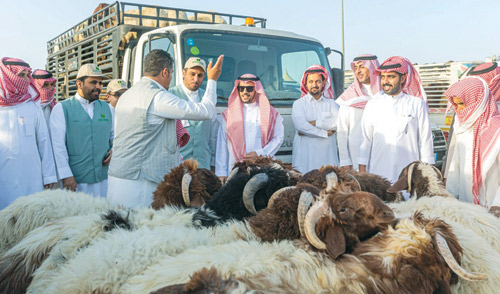  من الجولة التفقدية بمدينة الأنعام في بريدة