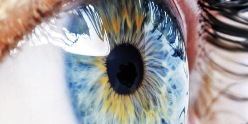 زراعة خلايا شبكية العين بواسطة تكنولوجيا النانو 