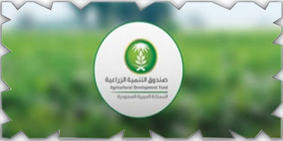 صندوق التنمية الزراعية يعقد ورشة عمل في المملكة والقارة الإفريقية 