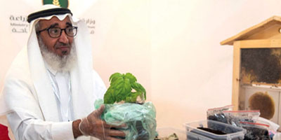 مزارع سعودي يستخرج الأسمدة من الديدان 