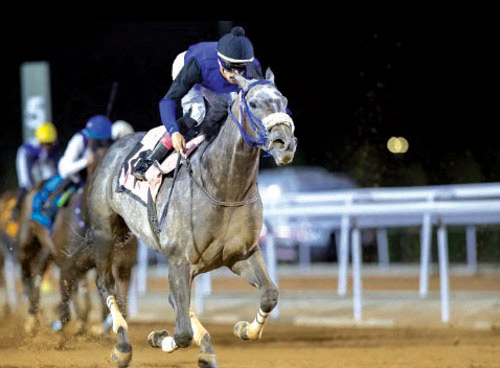 مواجهة مرتقبة لنخبة الخيل في كأس إمارة مكة المكرمة 