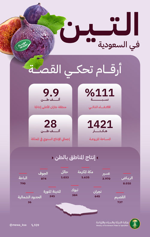 المملكة تحقق الاكتفاء الذاتي من التين بنسبة 111 % 