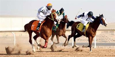 انطلاق سباقات الخيل بالمدينة المنورة 29 نوفمبر 