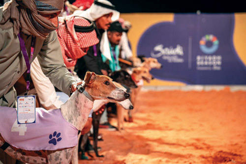 «مهرجان الكلاب العالمي» أختتم فعالياته وسط إقبال جماهيري 